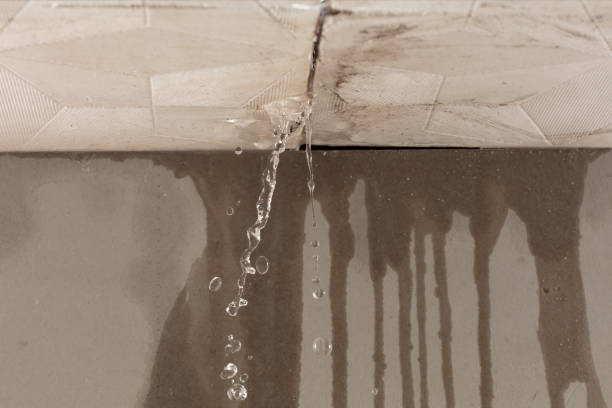 Professional Water Damage Inspection technician working in Rugby, TN